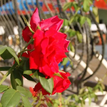 Szálloda Nazar Garden Fethiye