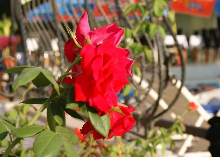 酒店 Nazar Garden 费特希耶